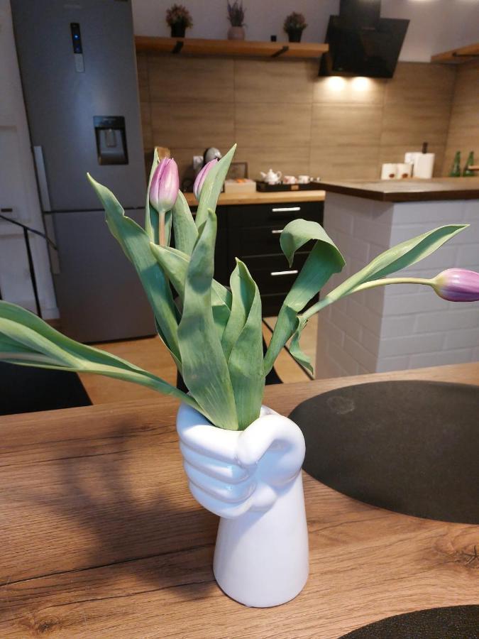Apartament Mar&Mel Glucholazy Luaran gambar